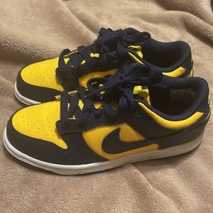 Nike Dunk Low Michigan (Youth)